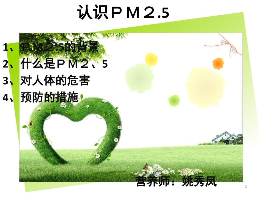 大气中的PM2.5以及对人体的危害_第1页