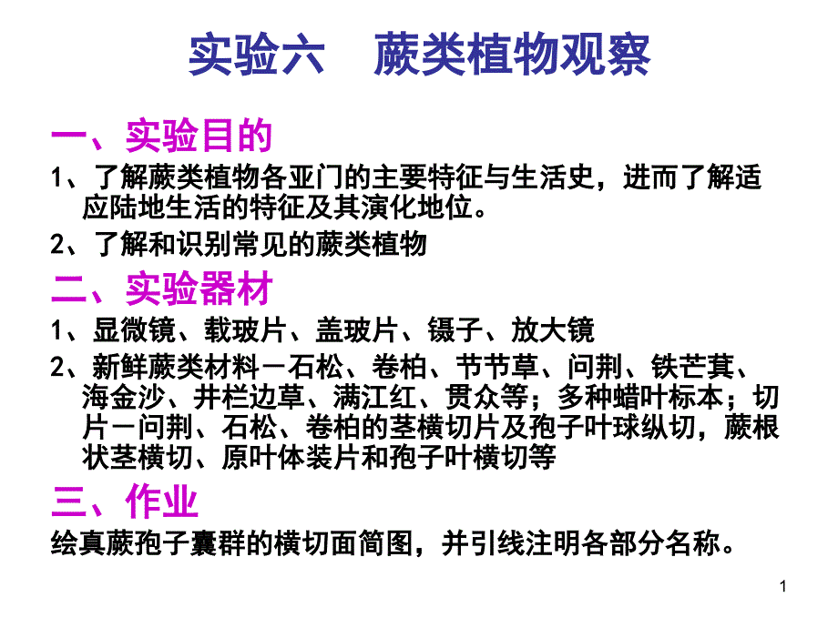 实验六蕨类植物观察_第1页