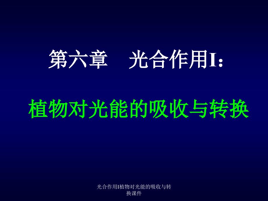 光合作用I植物对光能的吸收与转换课件_第1页