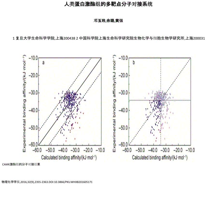 人类蛋白激酶组的多靶点分子对接系统_第1页