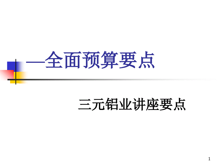 全面预算管理要点_第1页