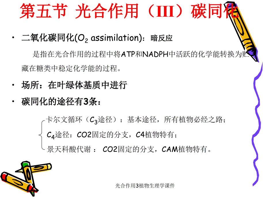 光合作用3植物生理学课件_第1页