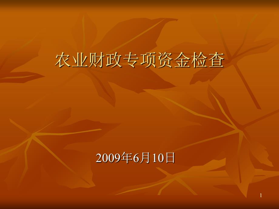 农业财政专项资金检查培训课件-农业财政专项资金检查_第1页