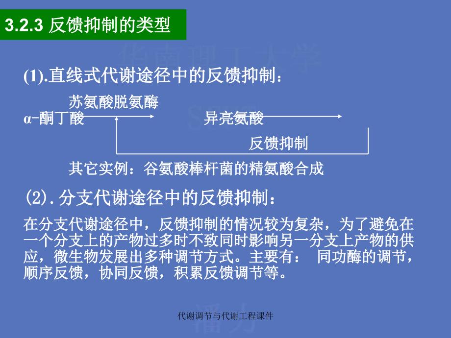 代谢调节与代谢工程课件_第1页