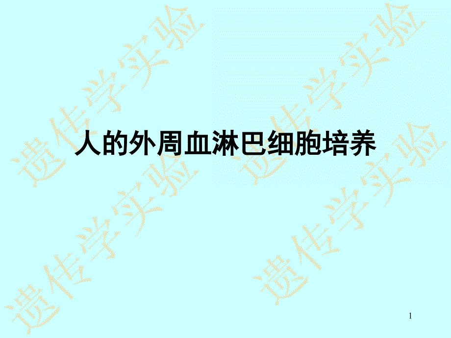 人的外周血淋巴细胞培养_第1页