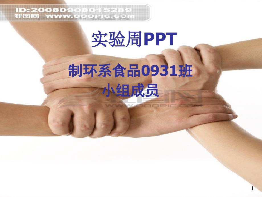 实验周PPT成果展示_第1页