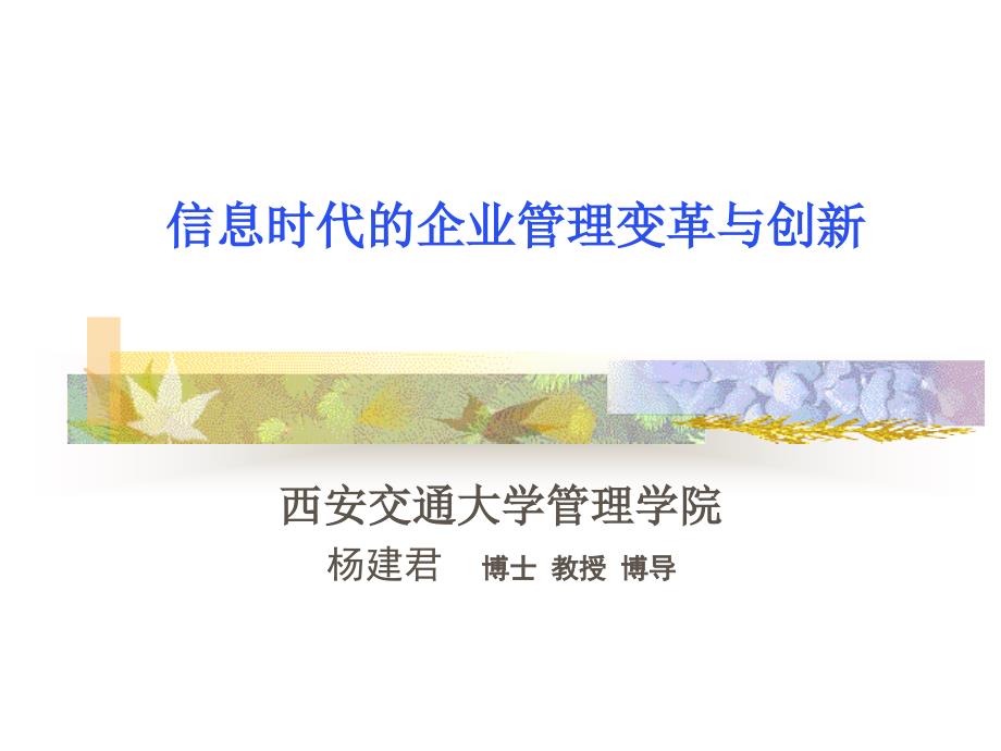 信息时代的企业管理变革与创新_第1页