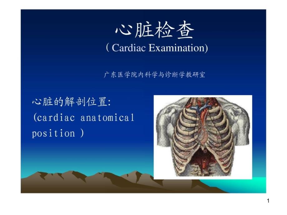 心脏检查及心血管常见症状体征_第1页