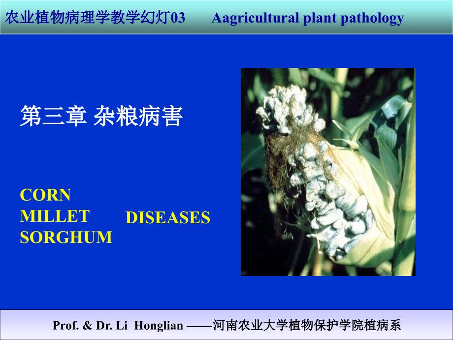 农业植物病理学杂粮病害概述课件_第1页