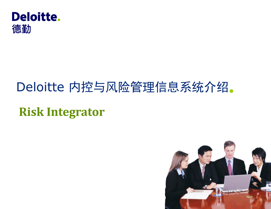 德勤Risk Integrator ORM - V7_第1页