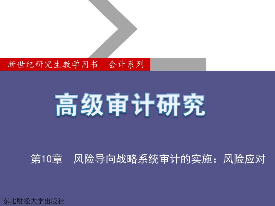 风险导向战略系统审计的实施风险应对_第1页