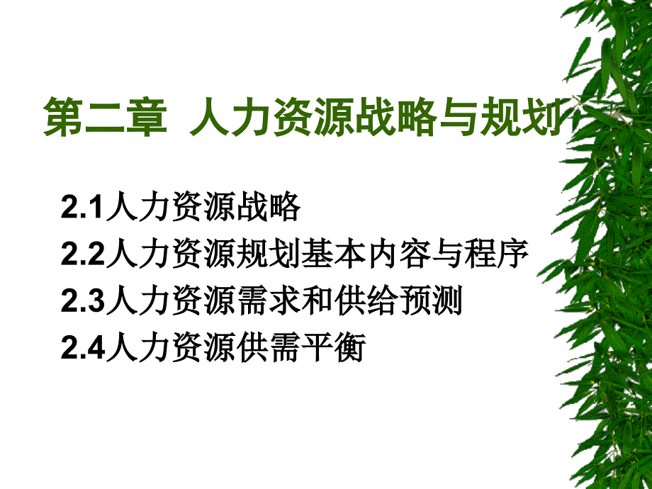 人力资源战略与规划_第1页