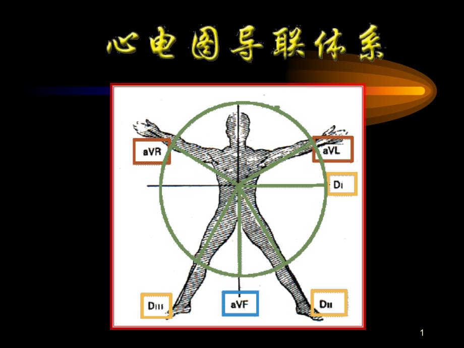 心电图导联体系_第1页