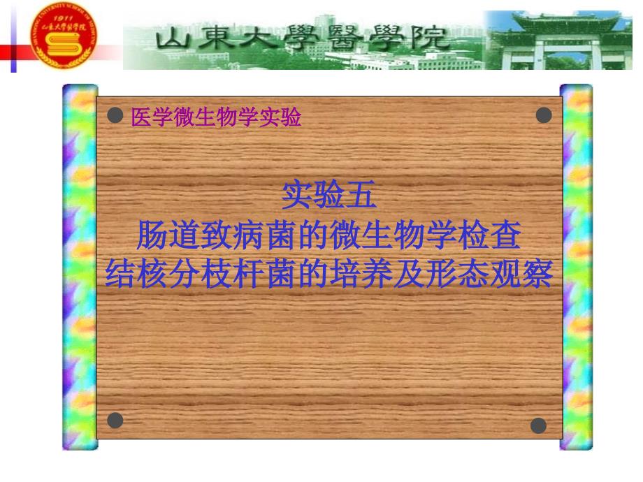 肠道致病菌的微生物学检查_第1页