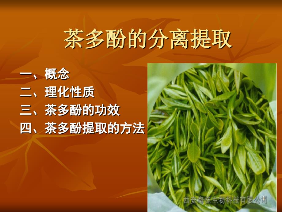 茶多酚的分离提取_第1页