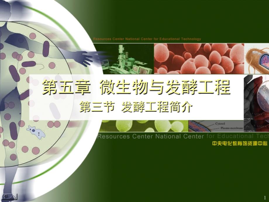 微生物与发酵工程_第1页