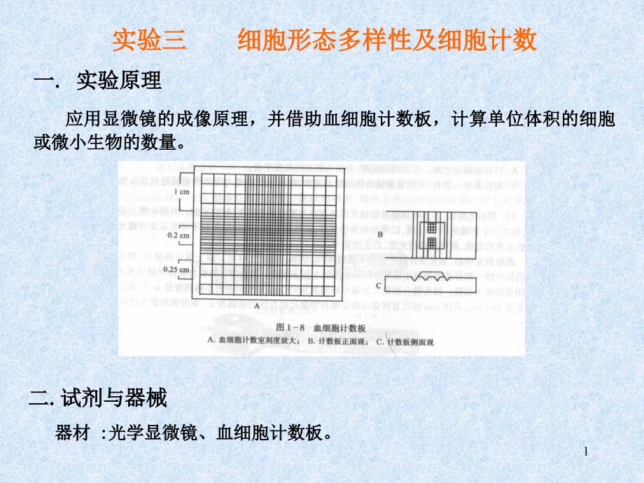 实验三、细胞的形态多样性及细胞计数_第1页