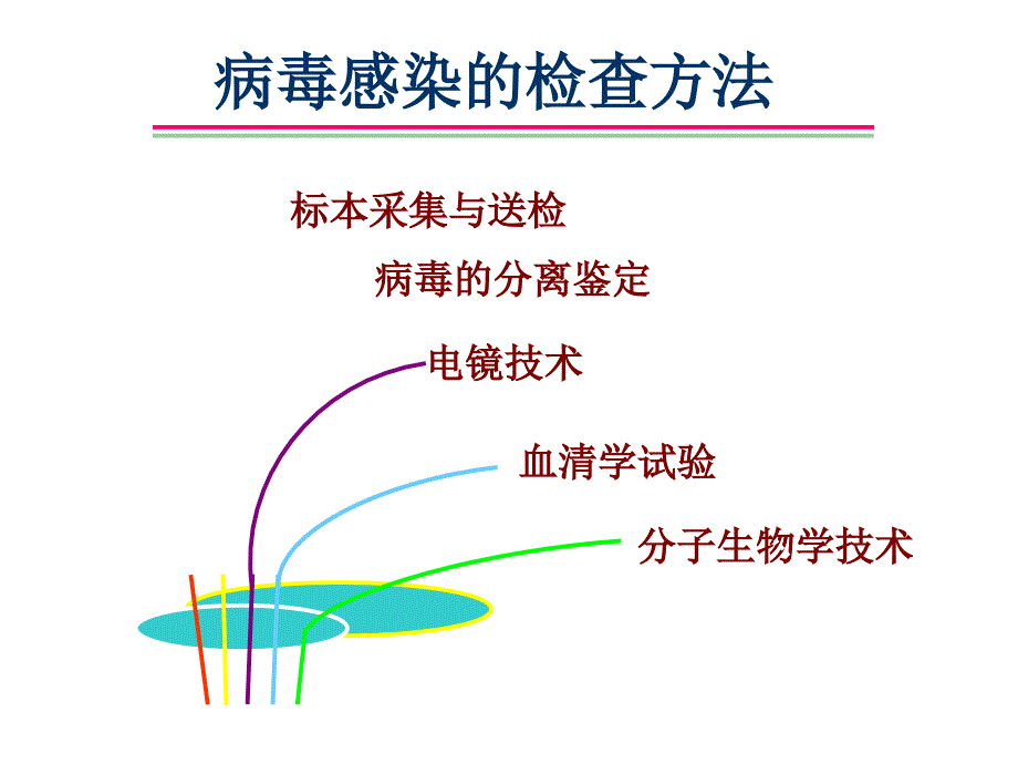 病毒的检测(病毒感染微生物的方法)ch26_第1页