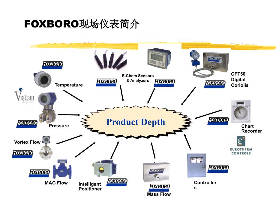 德国福克斯波罗系列仪表_第1页