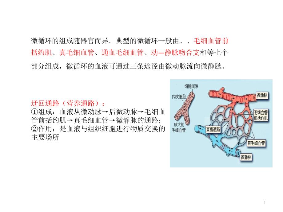 微循环与发热_第1页