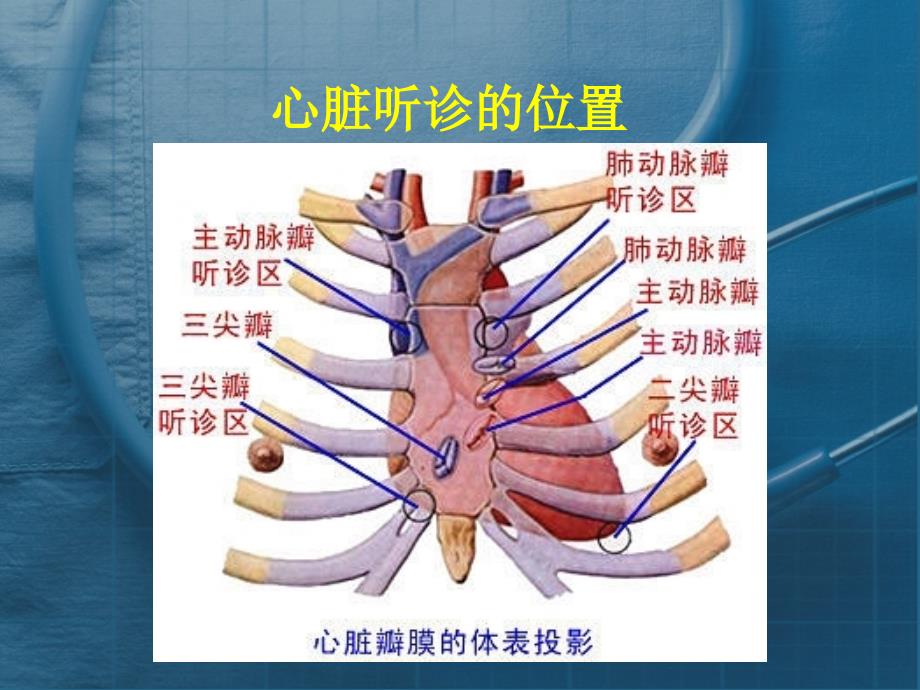 心脏听诊课件_第1页