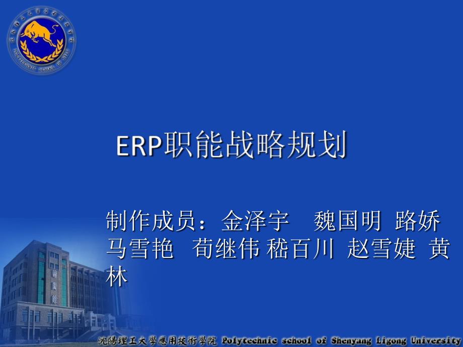 ERP职能战略规划课件_第1页