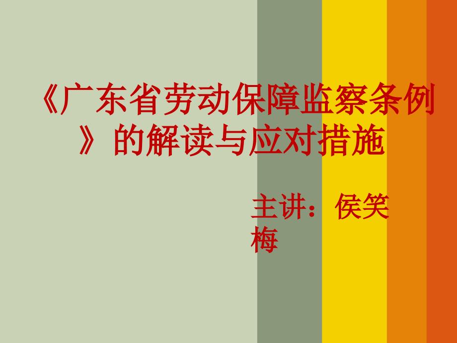 劳动保障监察条例解读与应对策略研讨会_第1页