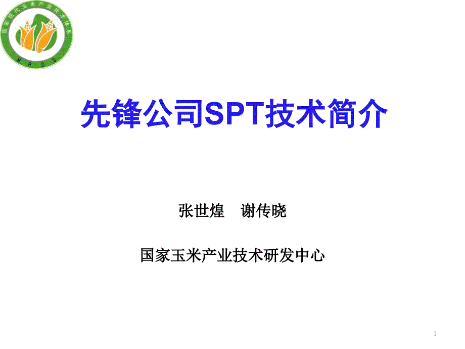 张先锋公司spt技术简介_第1页