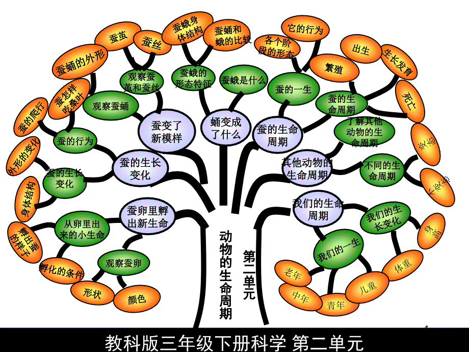 三年级下册第二单元知识树_第1页