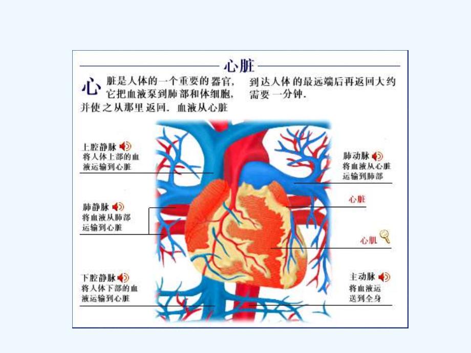 心力衰竭内科学第八版_第1页