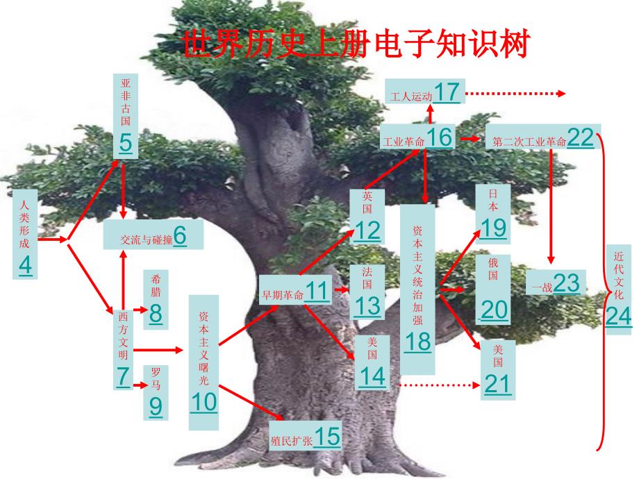 九年级上册知识框架图1_第1页