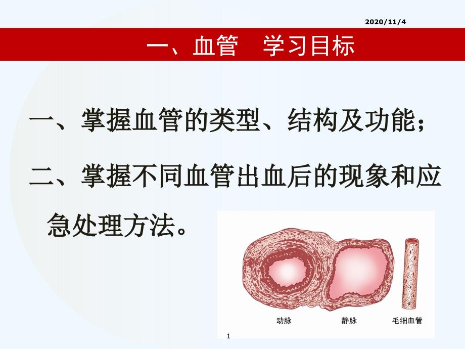 心脏的结构和工作原理_第1页