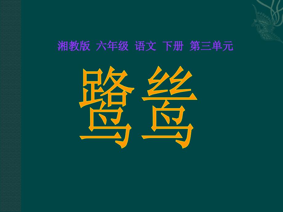 《鹭鸶课件》小学语文湘教版六年级下册24541_第1页