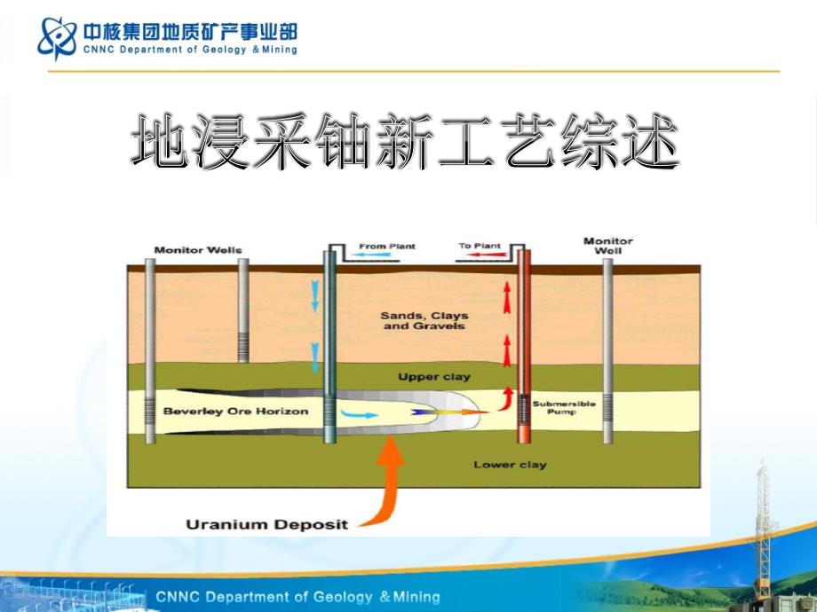 张飞凤地浸采铀综述[最终版]_第1页