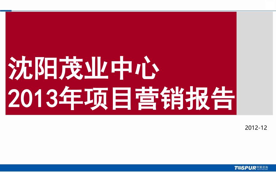 某房地产项目营销报告_第1页