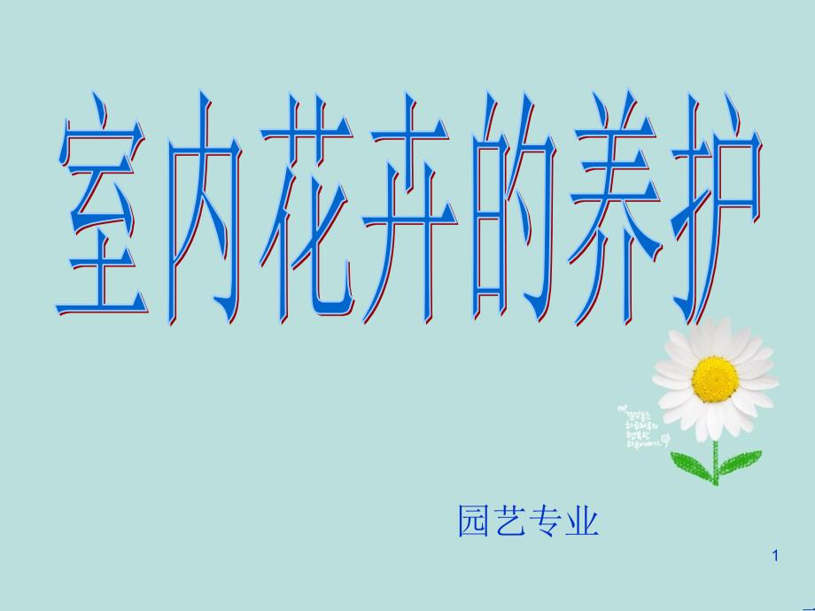 如何养护室内花卉_第1页