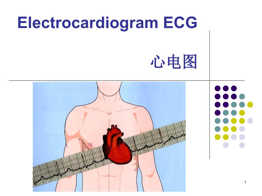 心电图基本知识53005_第1页