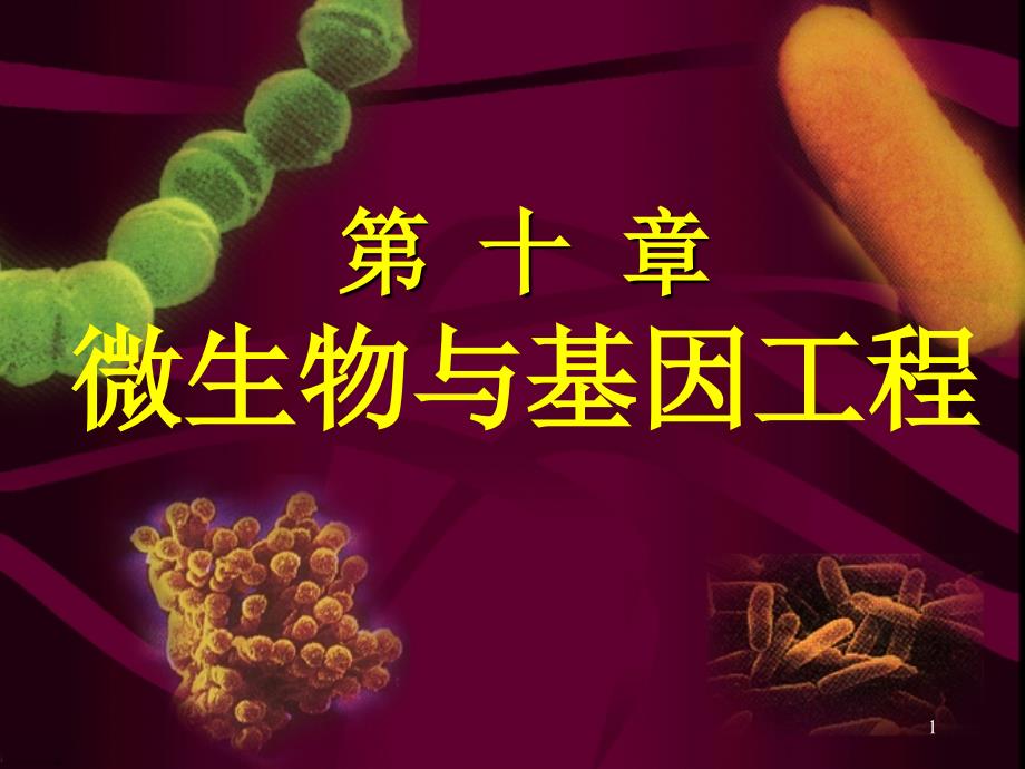 微生物与基因工程_第1页