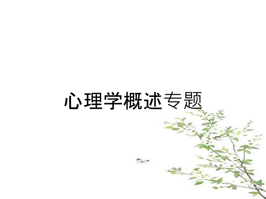 心理学概述专题_第1页