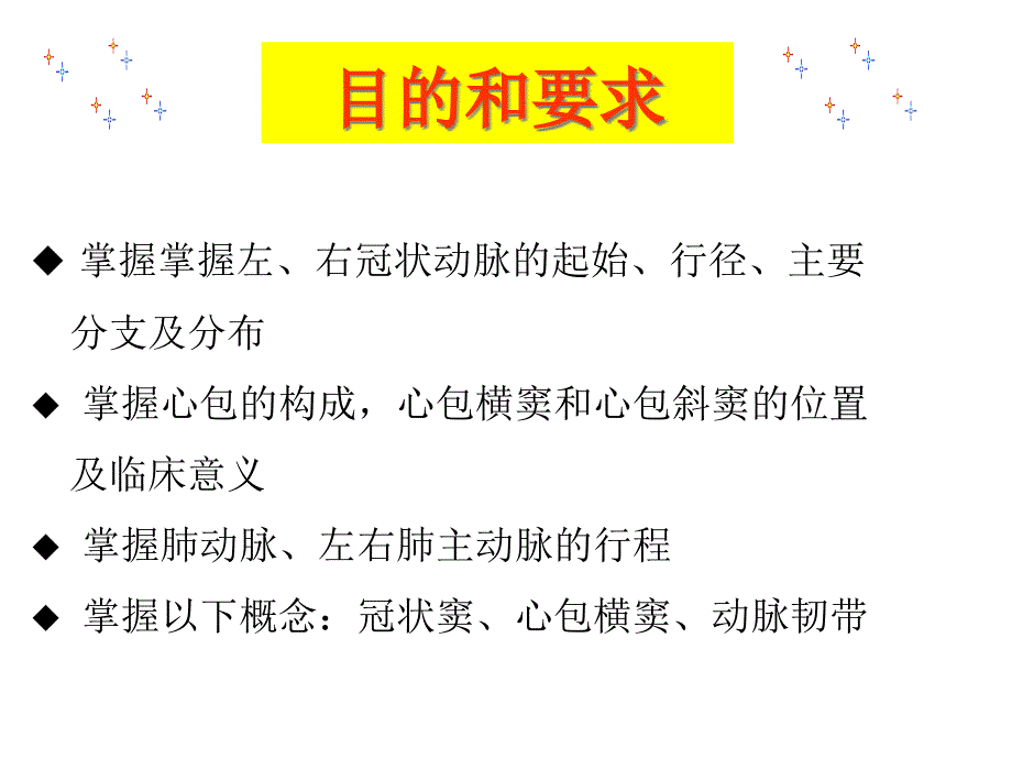 心血管 心包 肺循环动脉_第1页