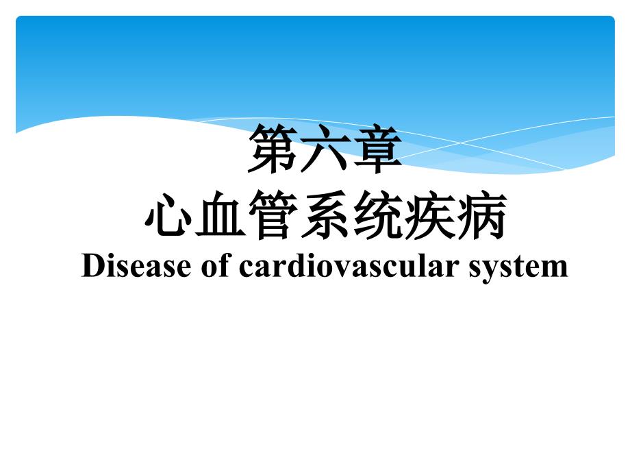 心血管系统疾病风湿1_第1页