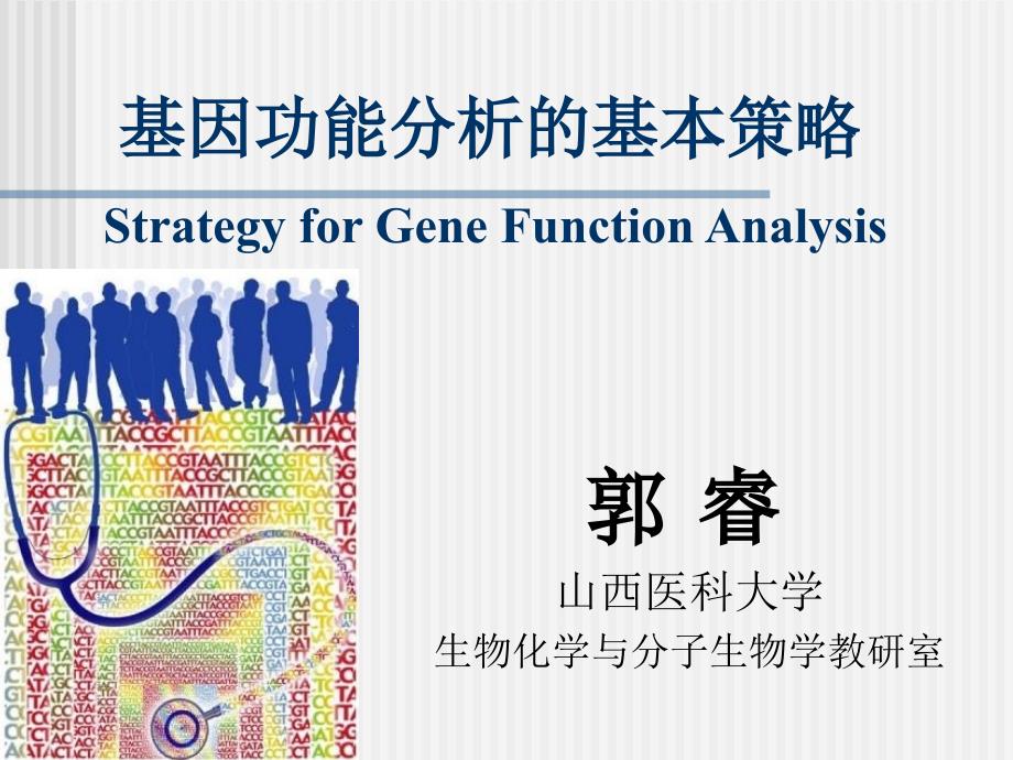 基因功能分析的基本策略_第1页