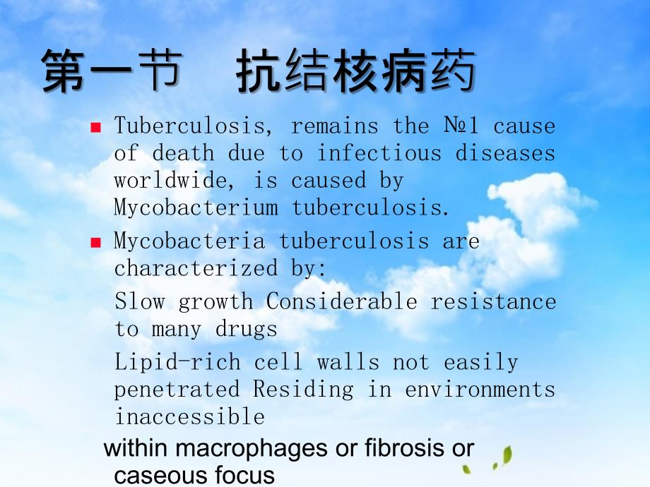 抗结核病药与抗麻风病药_第1页