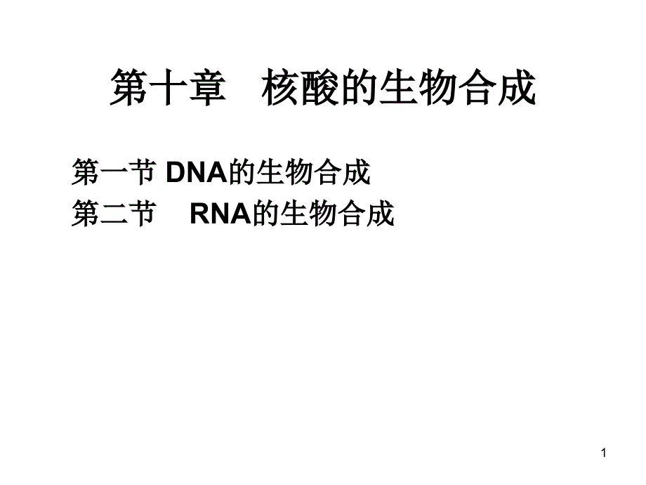 核酸的生物合成_第1页