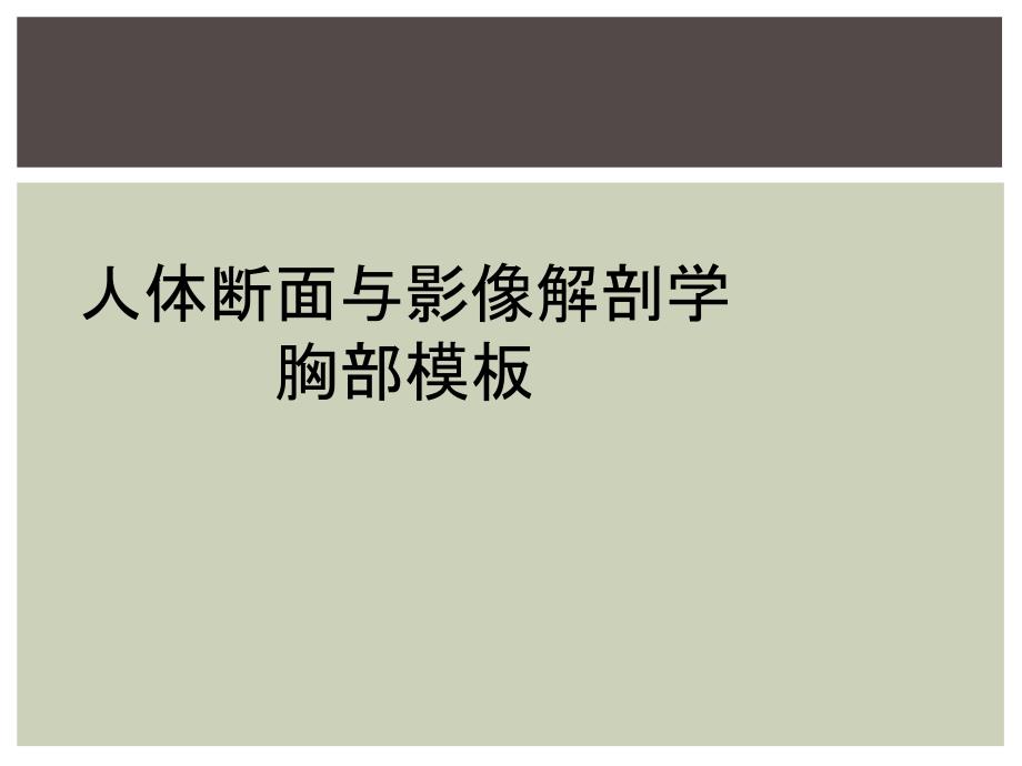 人体断面与影像解剖学胸部模板_第1页