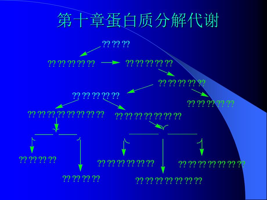 沈阳药科大学生物化学课件10蛋白质分解代谢_第1页