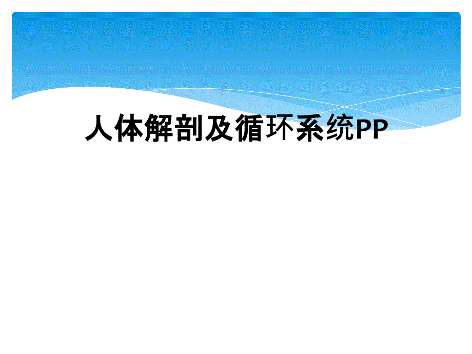 人体解剖及循环系统PP_第1页