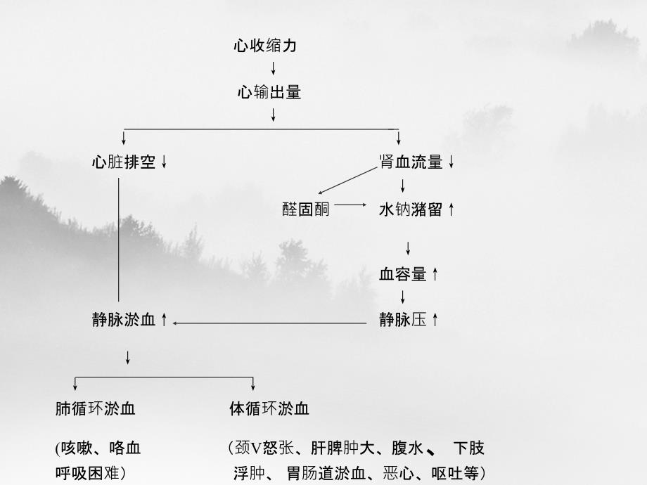 抗慢性心功能不全药简介_第1页