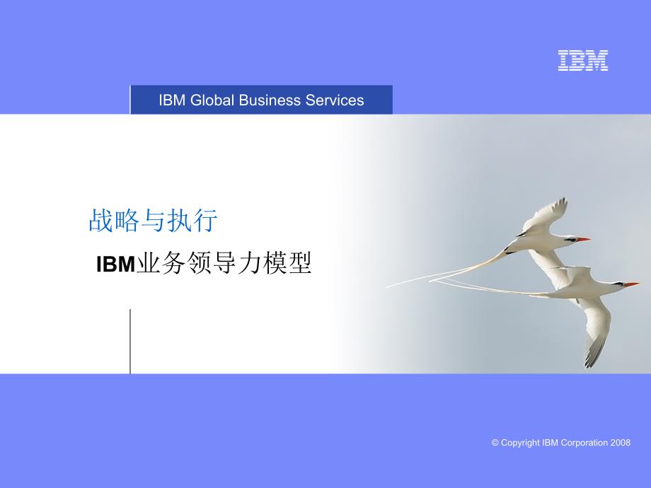 战略与执行IBM业务领导力模型_第1页