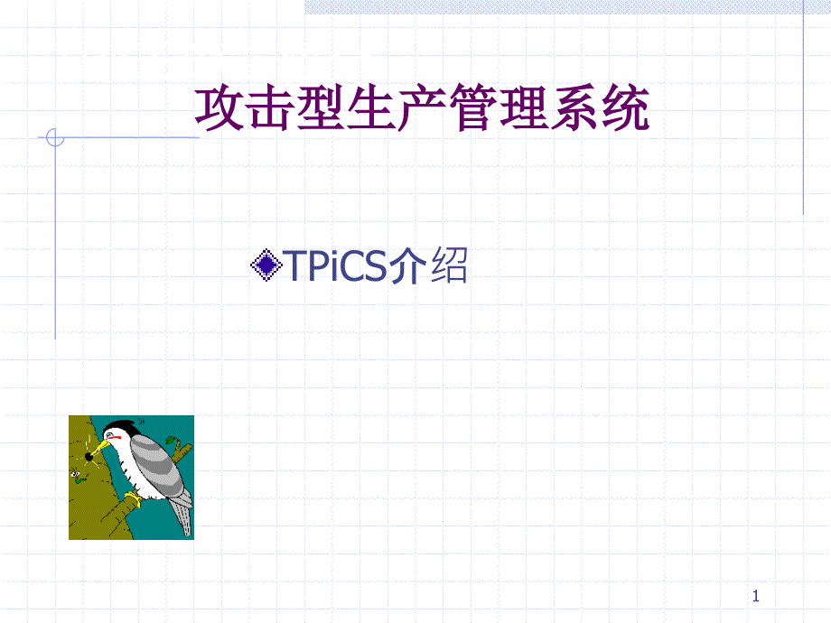 攻击型生产管理软件系统TpiCS介绍-PowerPoin_第1页